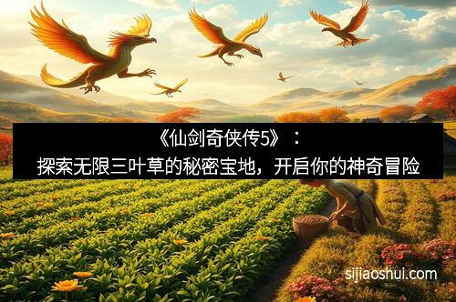 《仙剑奇侠传5》：探索无限三叶草的秘密宝地，开启你的神奇冒险